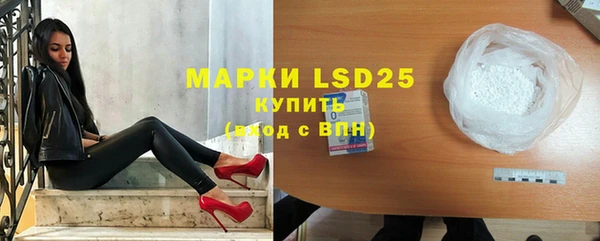 прущие грибы Невьянск