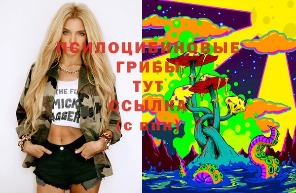 молекула духа Домодедово
