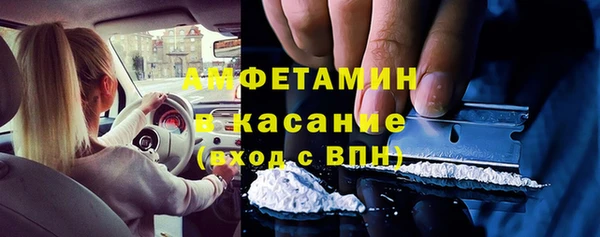 прущие грибы Невьянск
