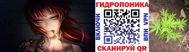 Конопля план  Починок 